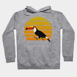 jz.birds Toucan Bird Animal Art Hoodie